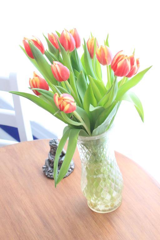 Bed and Breakfast Tulip Of Amsterdam Zimmer foto
