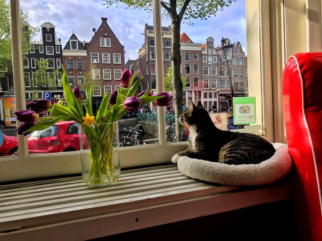 Bed and Breakfast Tulip Of Amsterdam Exterior foto